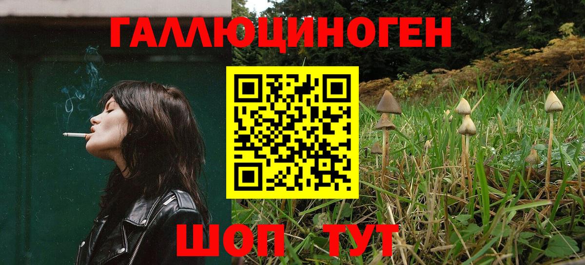 Златоуст  Псилоцибиновые грибы прущие грибы  где купить   Вход с VPN 